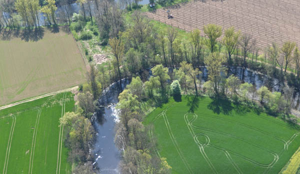 Nature also uses a paintbrush near Počedělice, April 2014, photo: Ladislav Seidl